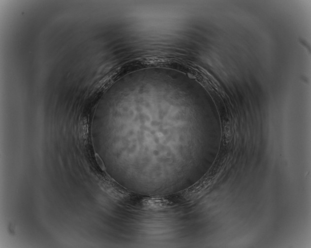 X0000091640372200709131436