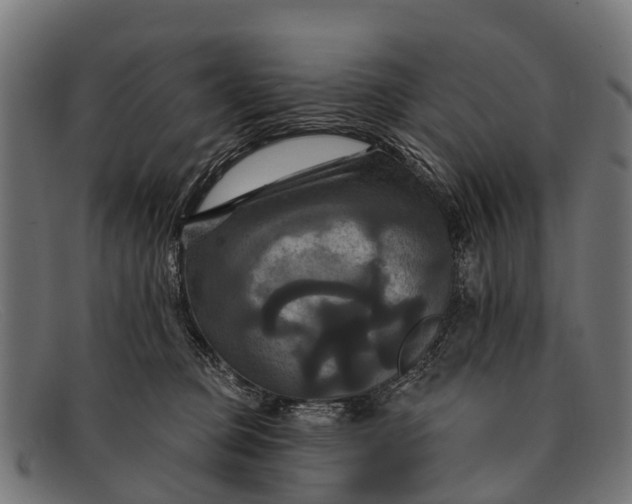 X0000091640373200709131436
