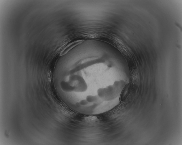 X0000091640374200709131436