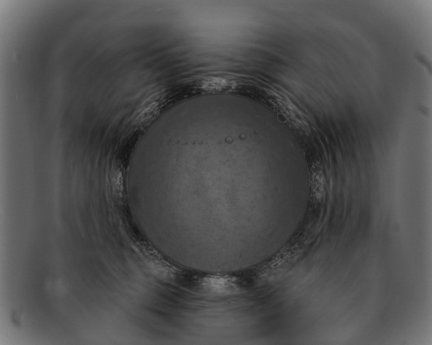 X0000091640375200709131436