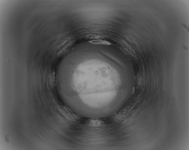 X0000091640376200709131436