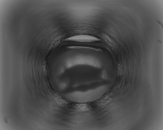 X0000091640377200709131436