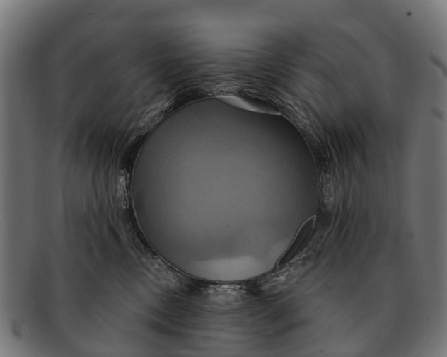 X0000091640378200709131436