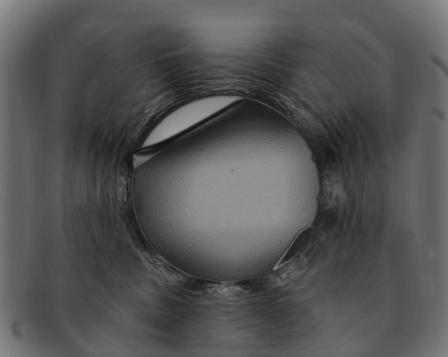 X0000091640379200709131436