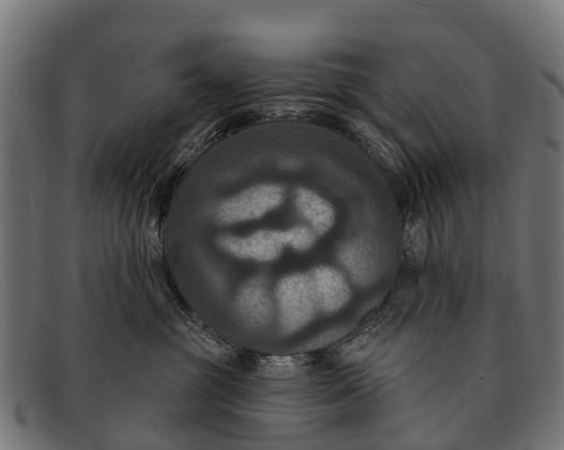 X0000091640381200709131436
