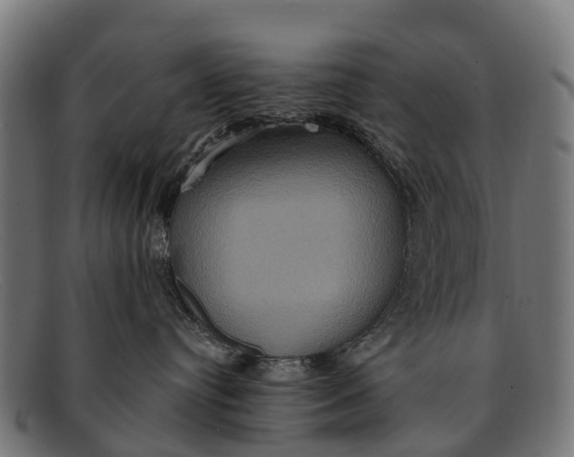 X0000091640384200709131436