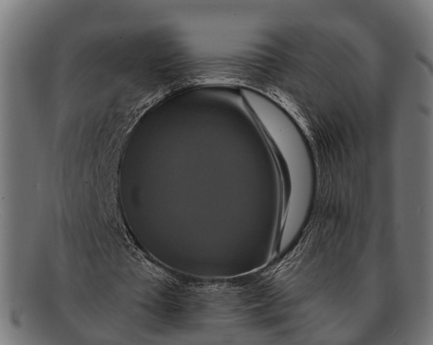 X0000091640385200709131435