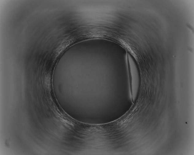 X0000091640386200709131435