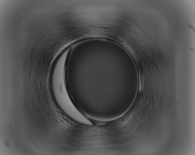 X0000091640387200709131435