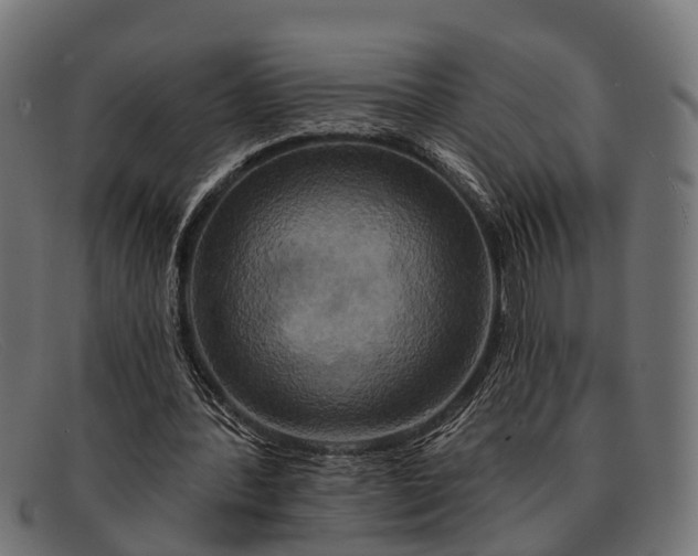 X0000091640388200709131435