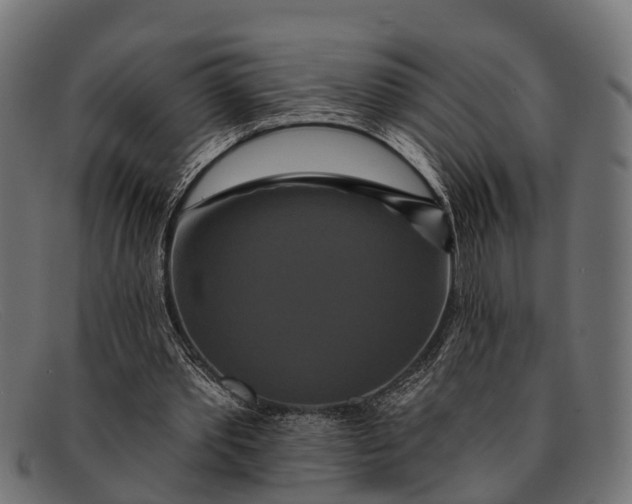 X0000091640389200709131435