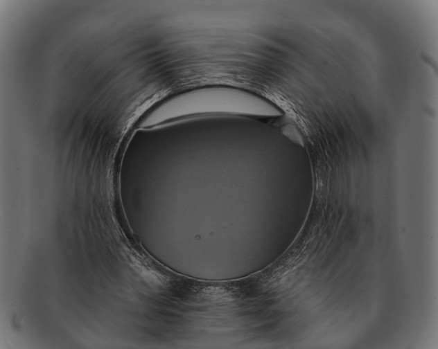 X0000091640390200709131435