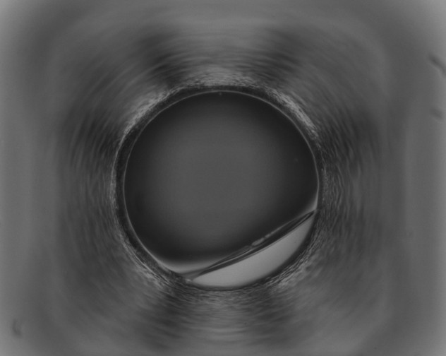 X0000091640391200709131435