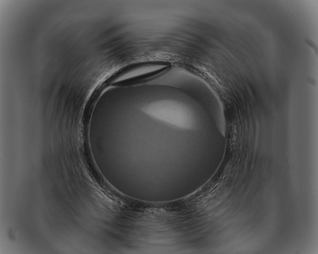 X0000091640392200709131435