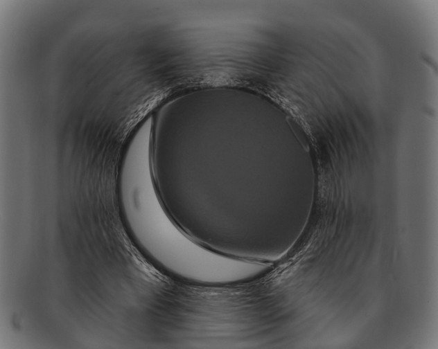 X0000091640393200709131435
