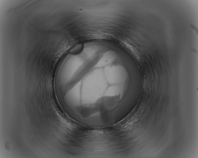 X0000091640394200709131435