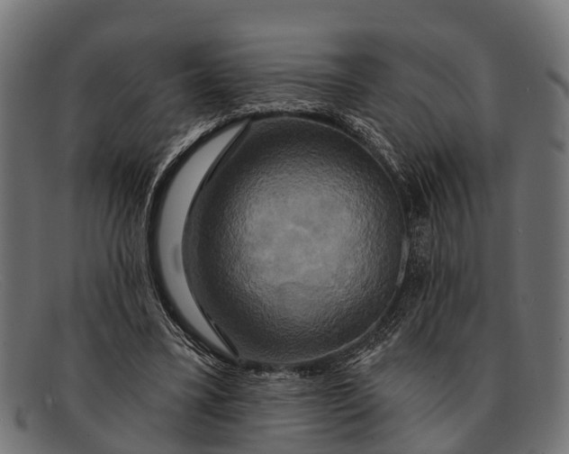 X0000091640395200709131435