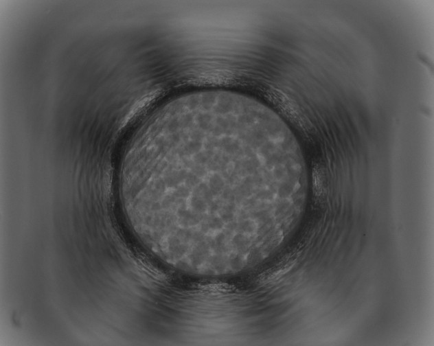 X0000091640396200709131435