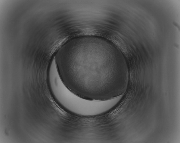 X0000091640397200709131435