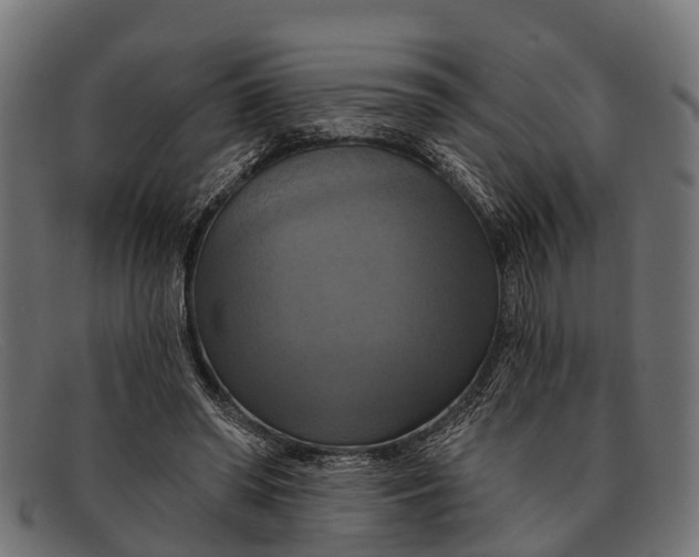 X0000091640398200709131435