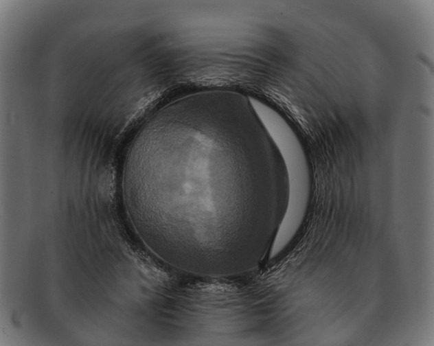 X0000091640400200709131435