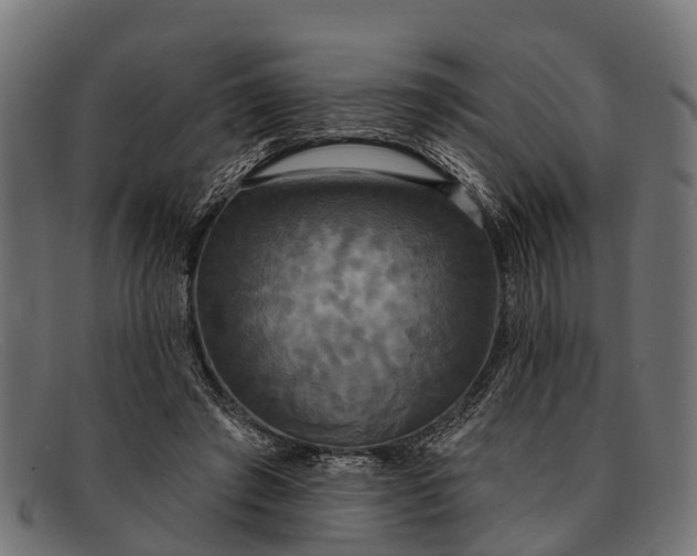 X0000091640401200709131435