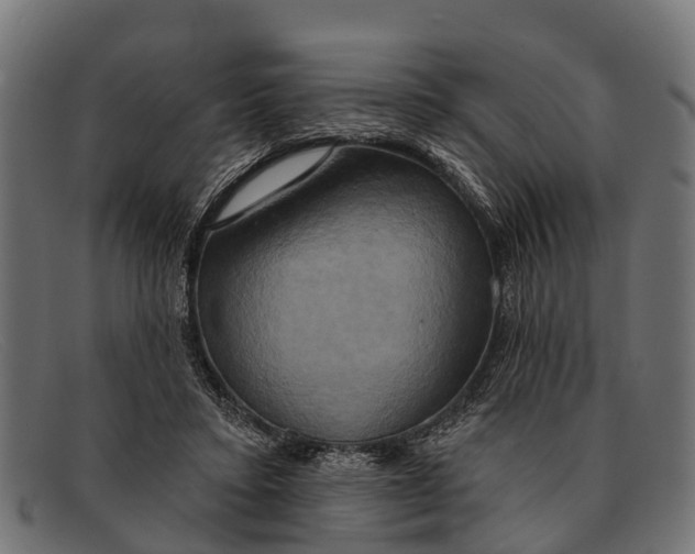 X0000091640403200709131435