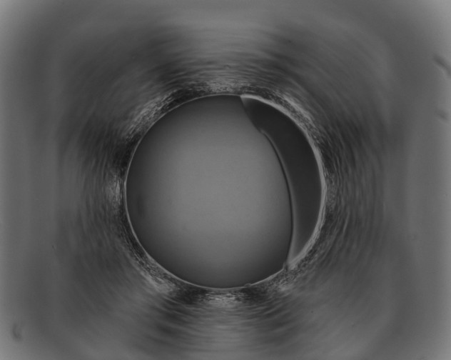 X0000091640405200709131435