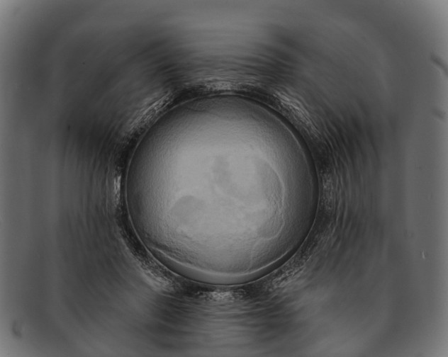 X0000091640406200709131435