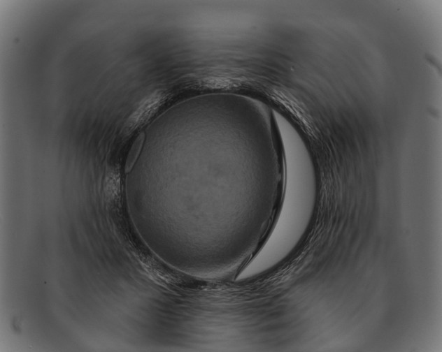 X0000091640407200709131435