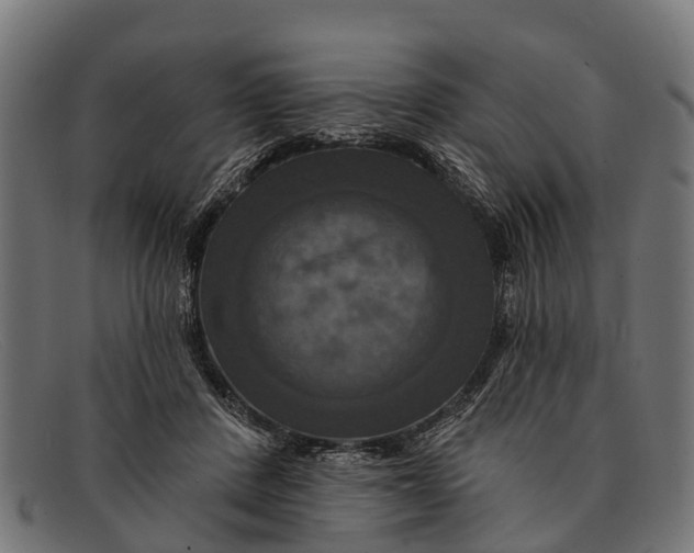 X0000091640408200709131435