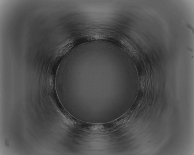 X0000091640410200709131435