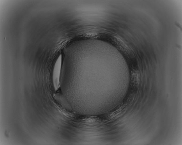 X0000091640412200709131435