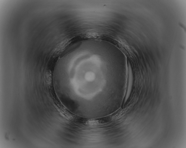 X0000091640413200709131435