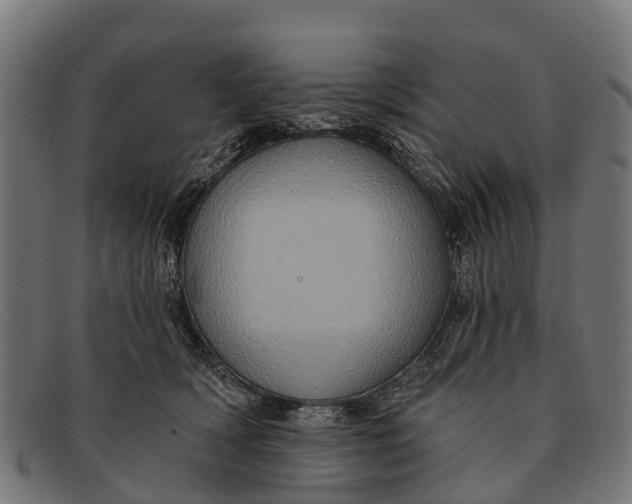 X0000091640418200709131435