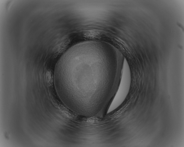 X0000091640420200709131435