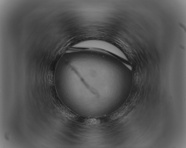 X0000091640421200709131435