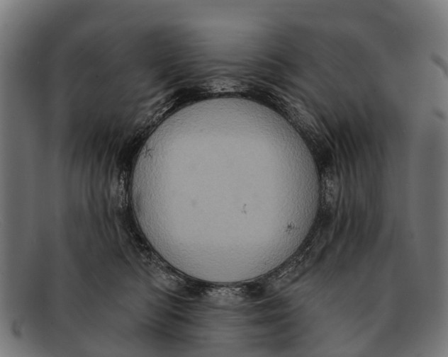X0000091640422200709131435
