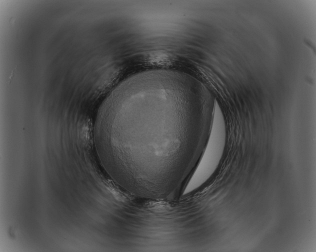X0000091640424200709131435