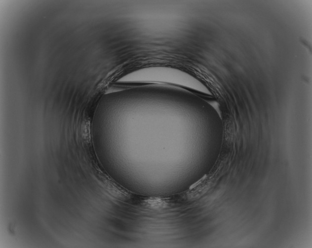 X0000091640425200709131435
