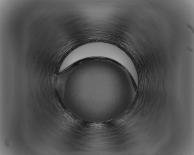 X0000091640428200709131435