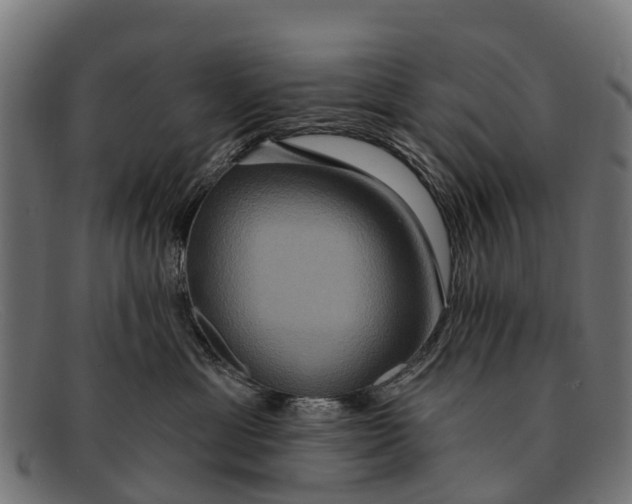 X0000091640429200709131435