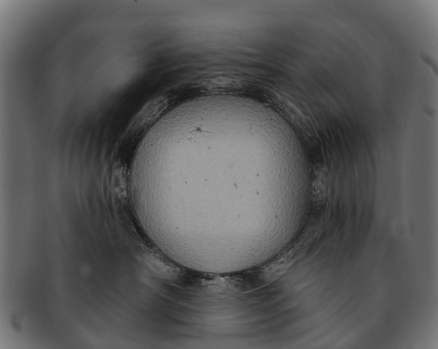X0000091640430200709131435