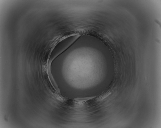 X0000091640432200709131435
