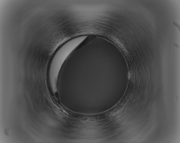 X0000091640434200709131434