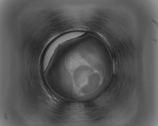 X0000091640435200709131434