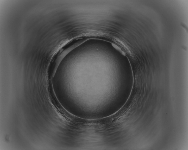 X0000091640436200709131434