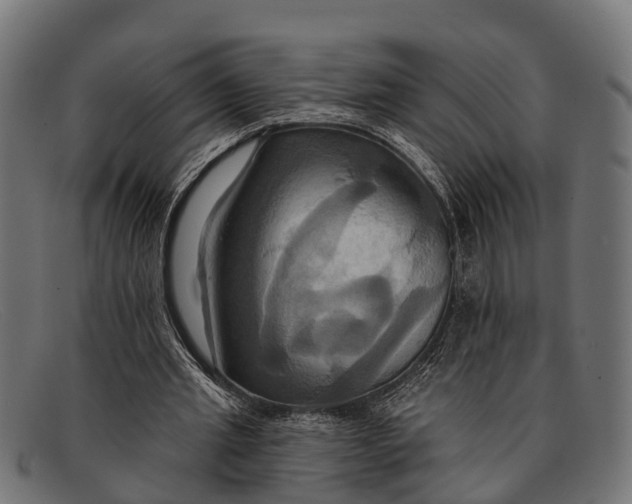 X0000091640437200709131434