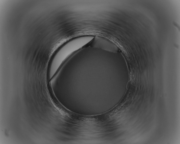 X0000091640438200709131434