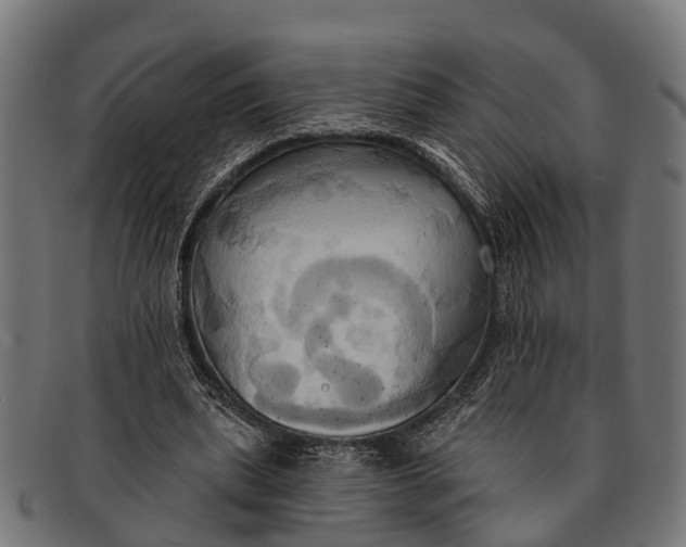 X0000091640439200709131434